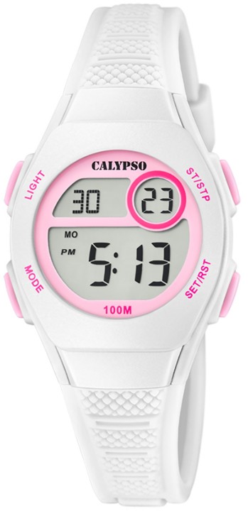 Bild von Calypso Junior