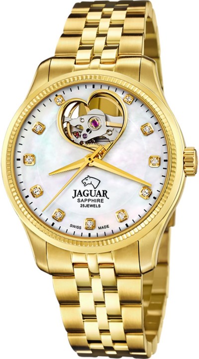 Bild von Jaguar Automatic
