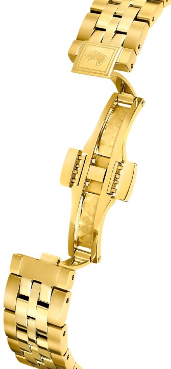 Bild von Jaguar Automatic
