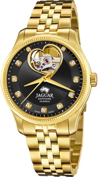 Bild von Jaguar Automatik