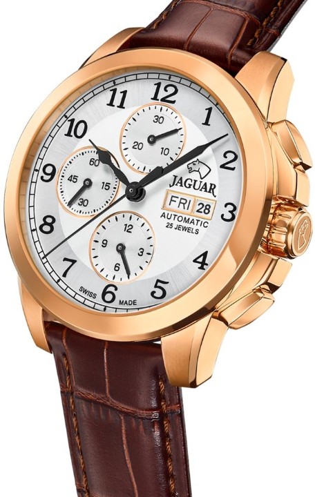 Bild von Jaguar Automatic