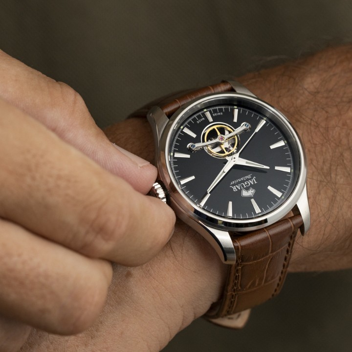 Bild von Jaguar Automatic