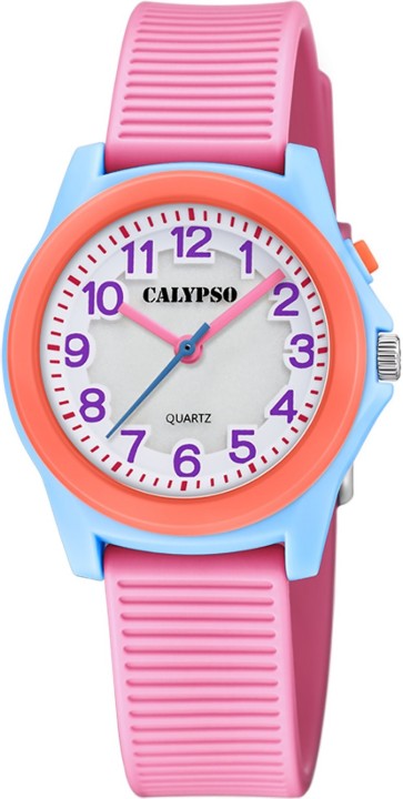 Bild von Calypso Junior