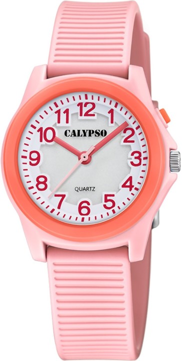 Bild von Calypso Junior