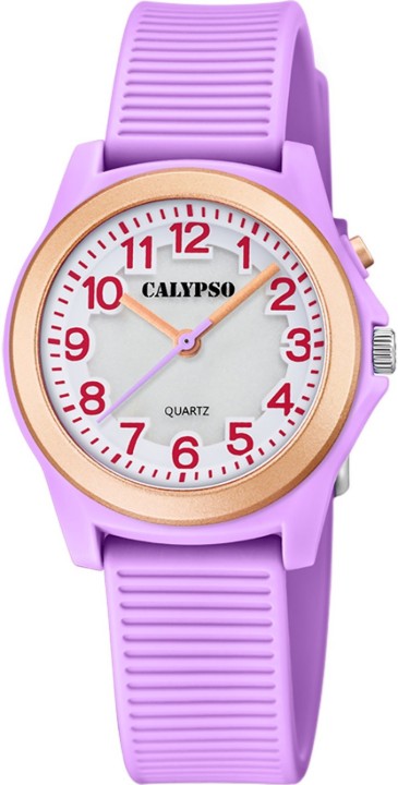 Bild von Calypso Junior