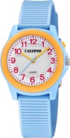 Bild von Calypso Junior