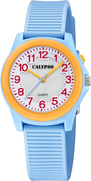 Bild von Calypso Junior