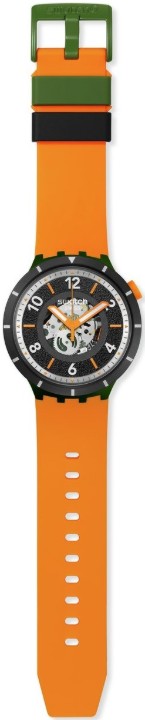 Bild von Swatch Fall-iage