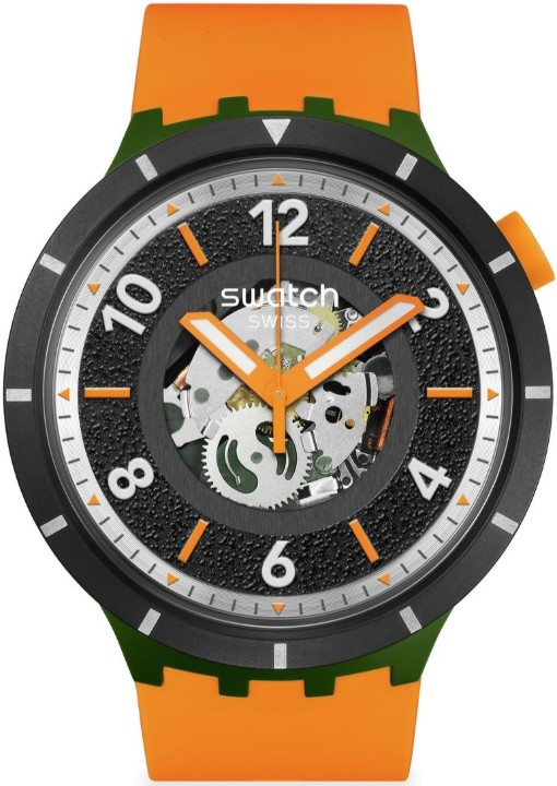 Bild von Swatch Fall-iage