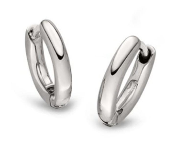 Bild von Boccia Titanium Ohrringe