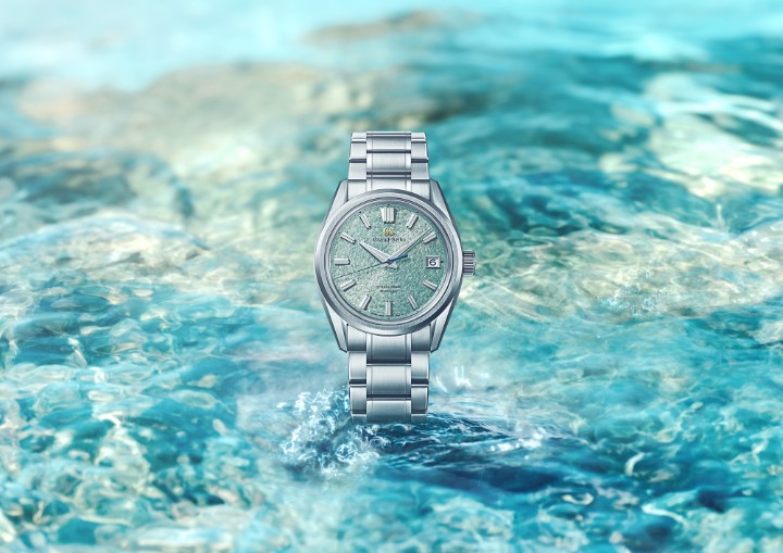 Bild von Grand Seiko Evolution 9 Hi-Beat 36000 Limited Edition