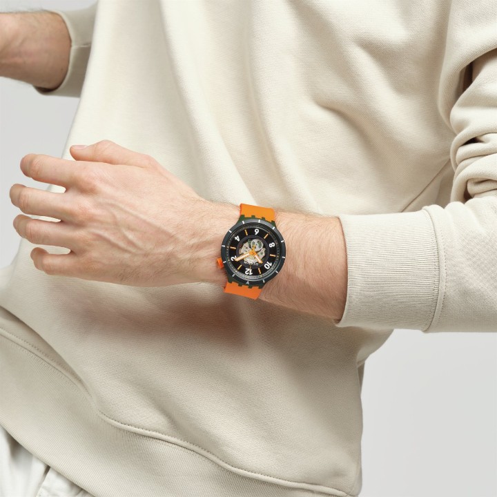 Bild von Swatch Fall-iage
