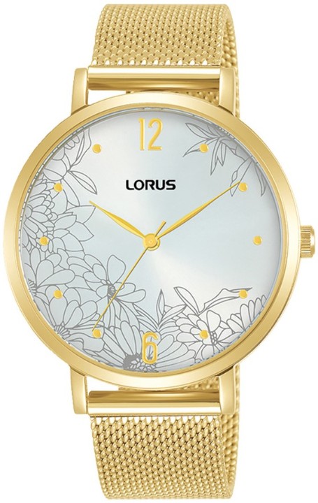 Bild von Lorus