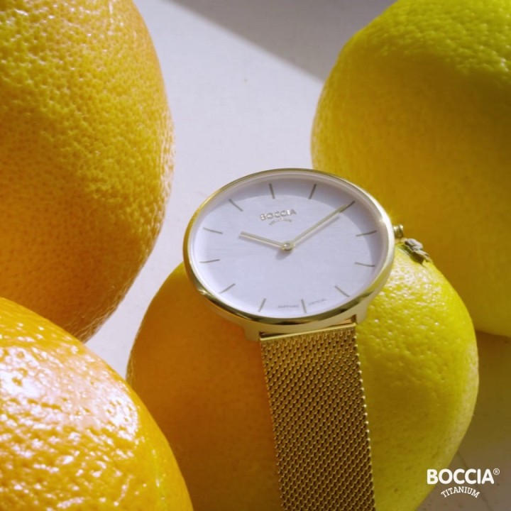 Bild von Boccia Titanium