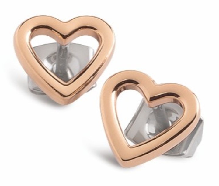 Bild von Boccia Titanium Ohrringe
