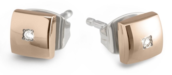 Bild von Boccia Titanium Ohrringe