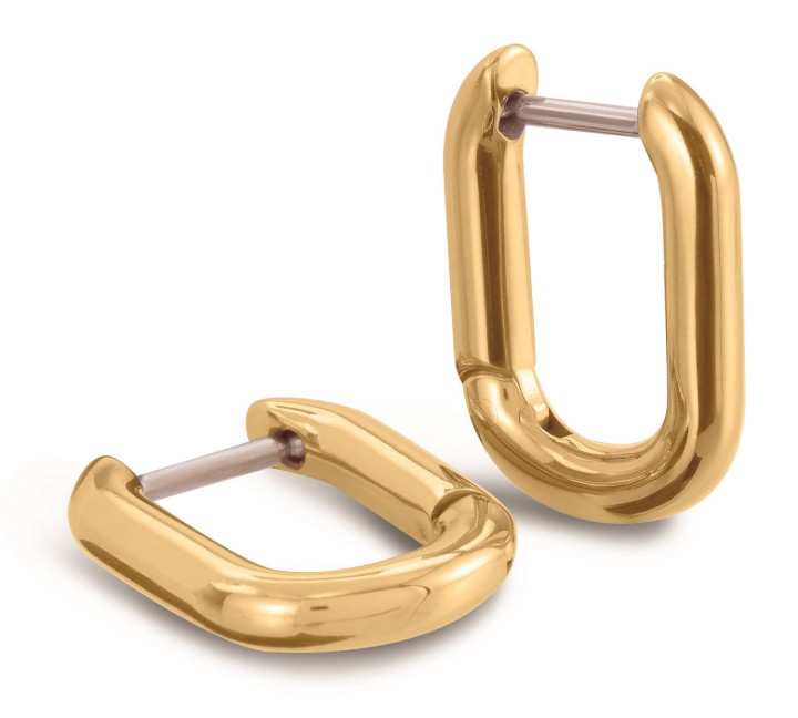 Bild von Boccia Titanium Ohrringe