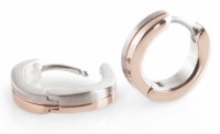 Bild von Boccia Titanium Ohrringe