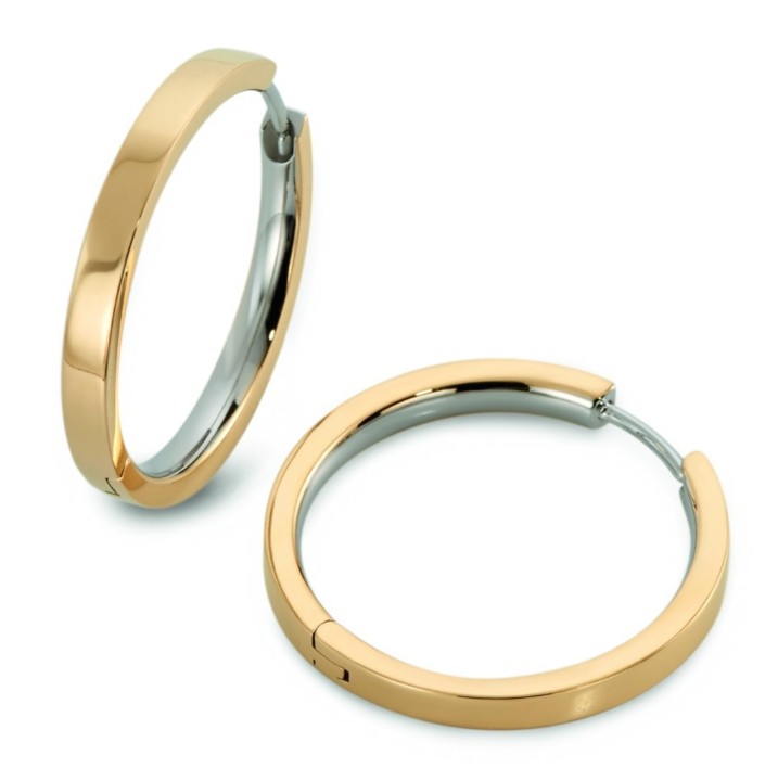 Bild von Boccia Titanium Ohrringe