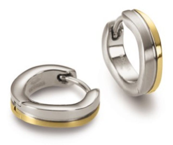 Bild von Boccia Titanium Ohrringe