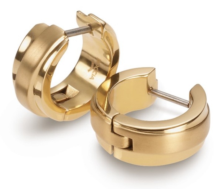 Bild von Boccia Titanium Ohrringe