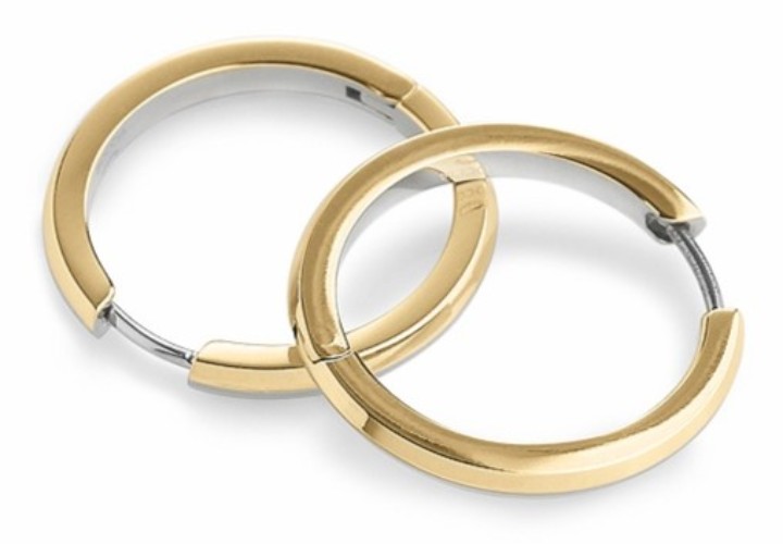 Bild von Boccia Titanium Ohrringe