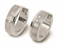 Bild von Boccia Titanium Ohrring