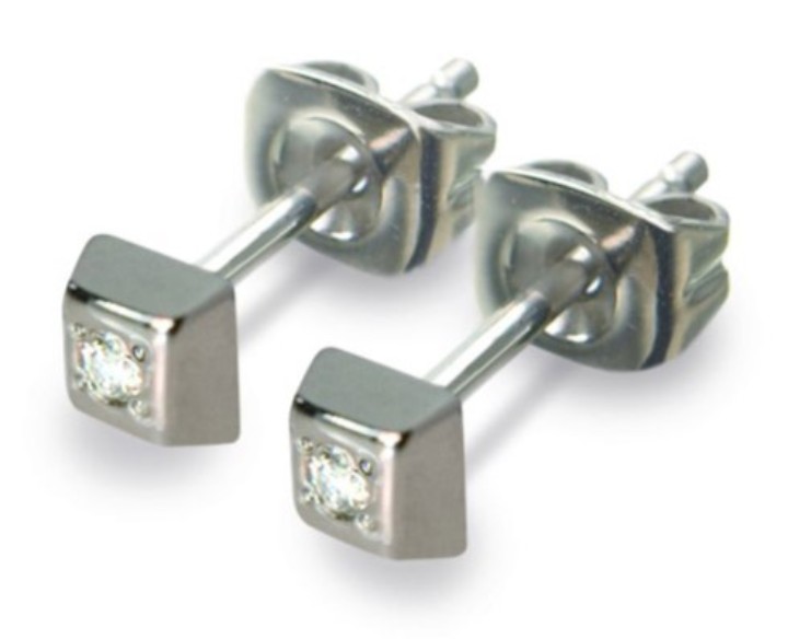 Bild von Boccia Titanium Ohrringe