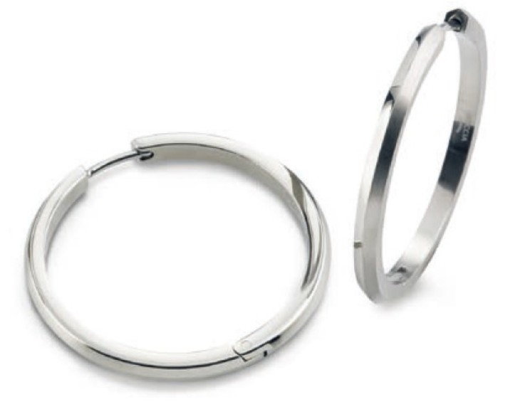 Bild von Boccia Titanium Ohrringe