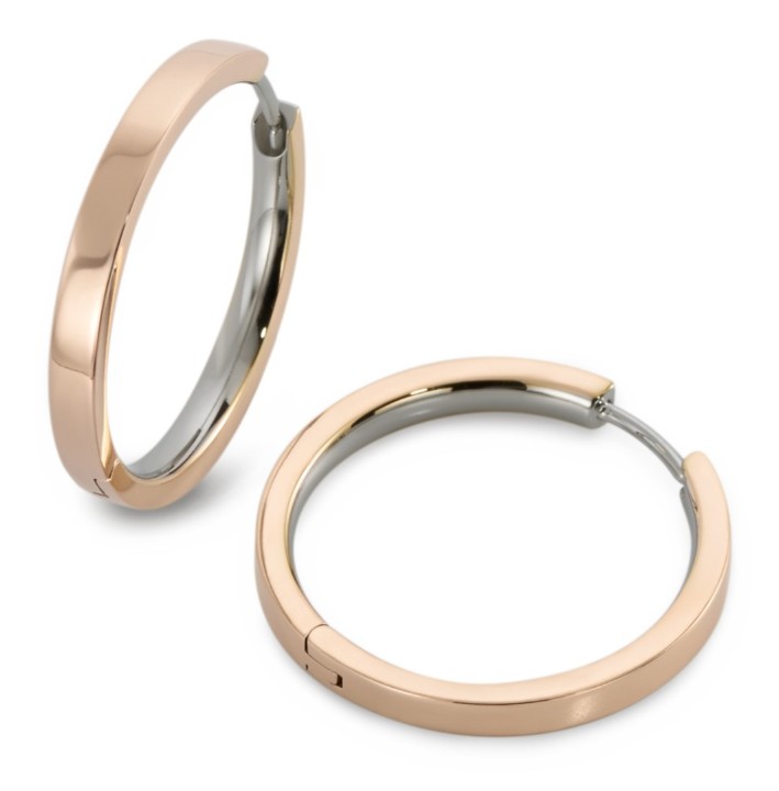 Bild von Boccia Titanium Ohrringe