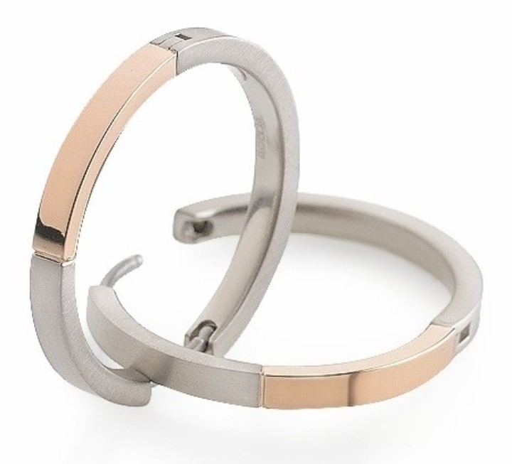 Bild von Boccia Titanium Ohrringe