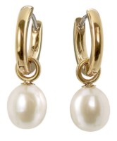 Bild von Boccia Titanium Ohrring