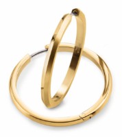 Bild von Boccia Titanium Ohrring