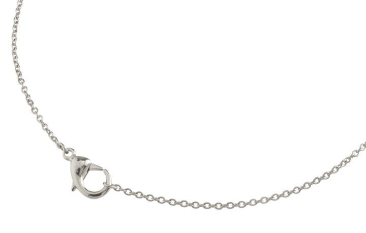 Bild von Boccia Titanium Kette