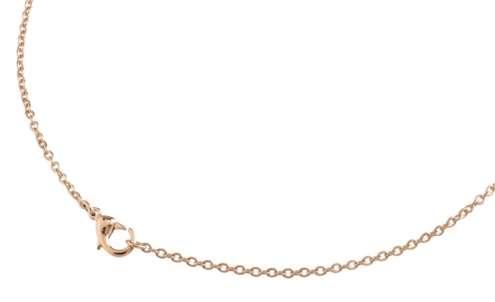 Bild von Boccia Titanium Kette