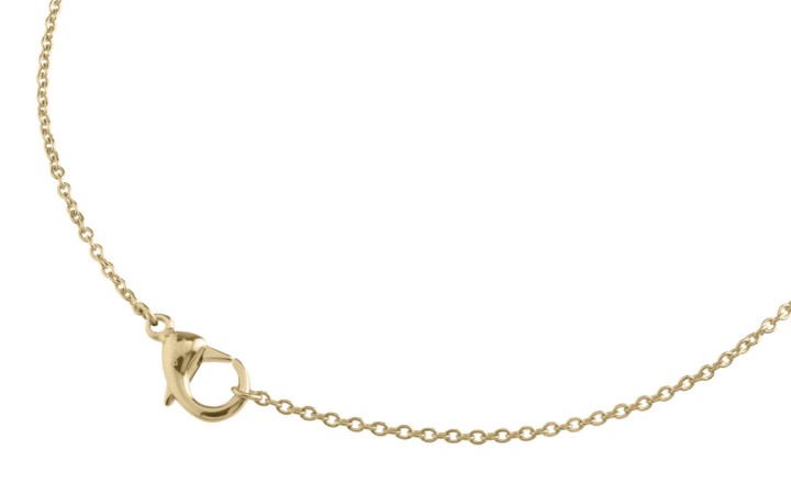 Bild von Boccia Titanium Kette