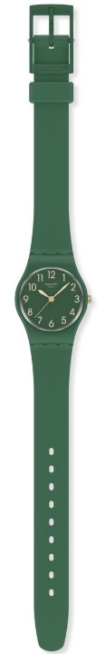 Bild von Swatch Notes of Pecan