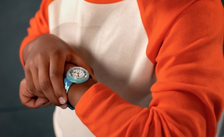 Bild von Flik Flak Living History