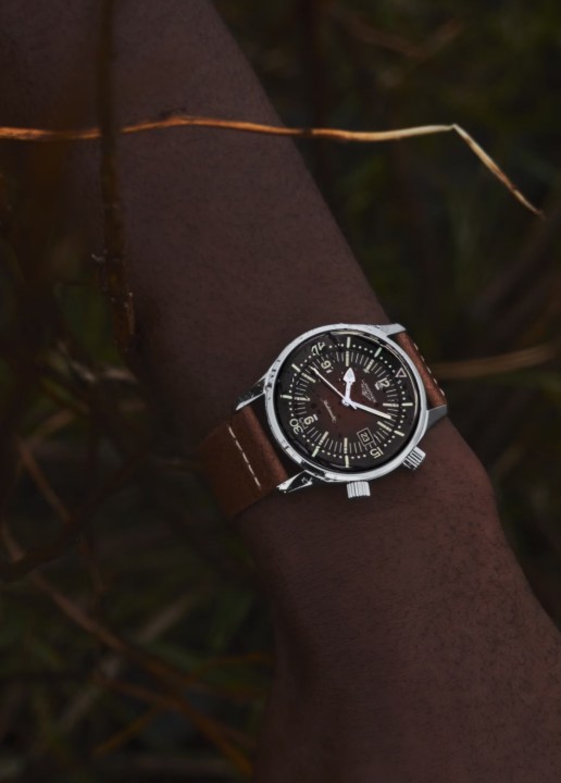 Bild von Longines Legend Diver