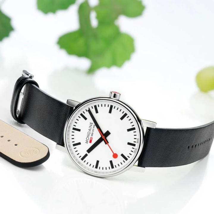 Bild von MONDAINE Evo2