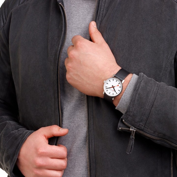 Bild von MONDAINE Evo2