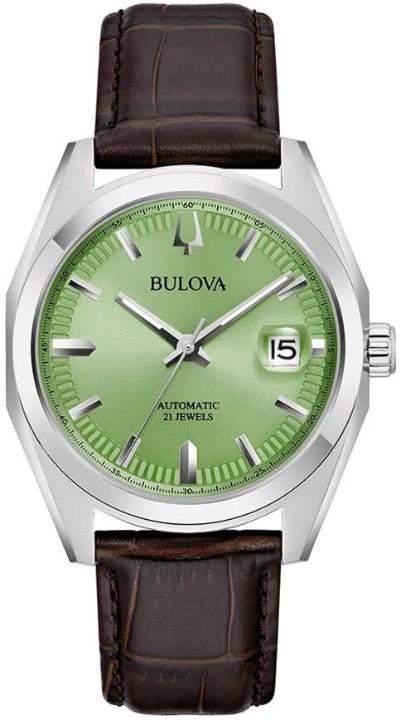 Bild von Bulova Surveyor