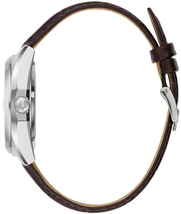 Bild von Bulova Surveyor