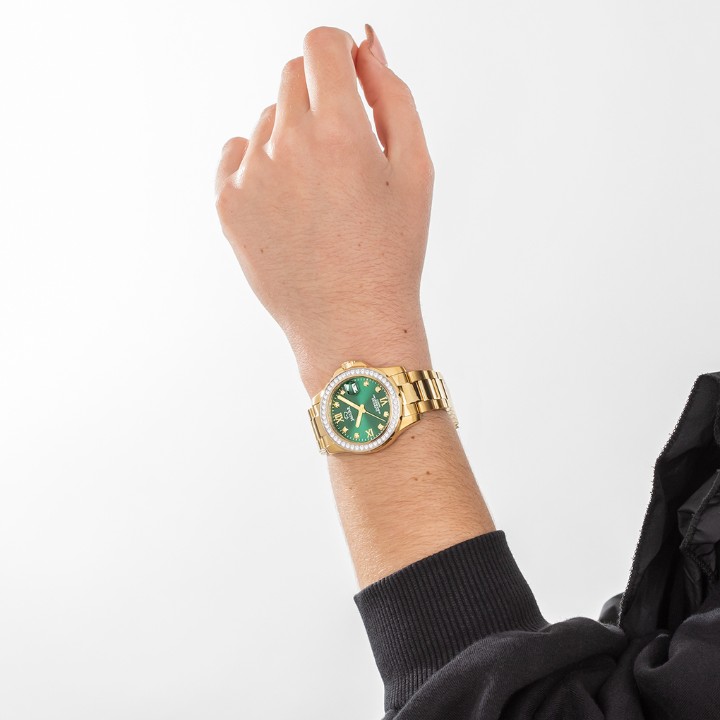 Bild von Jaguar Executive Diver