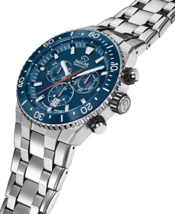 Bild von Jaguar Ceramic