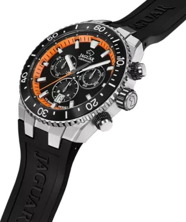 Bild von Jaguar Ceramic