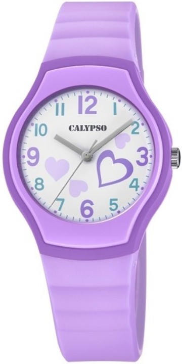 Bild von Calypso Junior