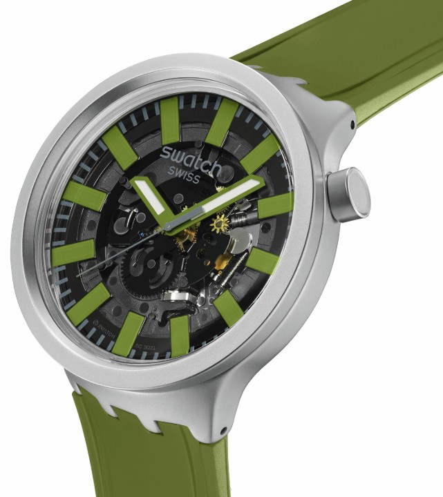 Bild von Swatch Thru the Underbrush