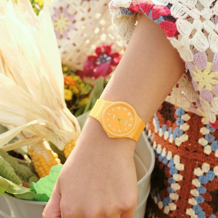 Bild von Casio Collection