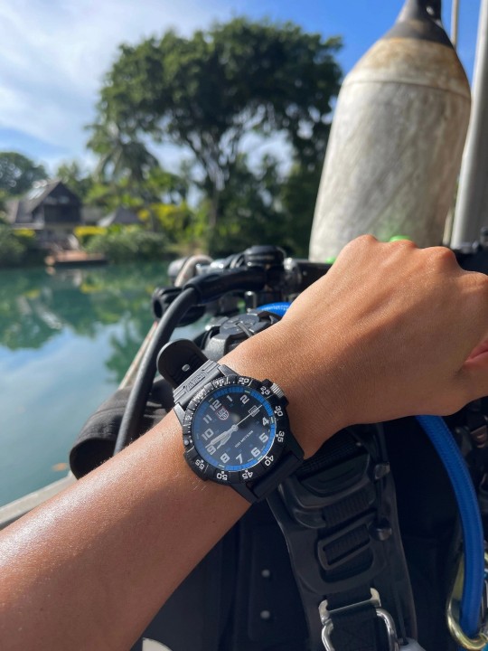 Bild von Luminox Leatherback Sea Turtle Giant 0320 Series